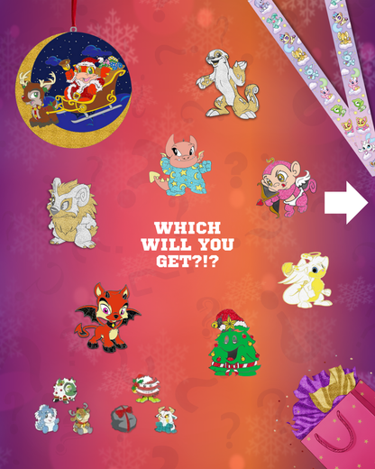 Seasonal Mystery Bag, Neopets